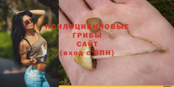 дурь Алексин