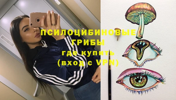 ECSTASY Алексеевка