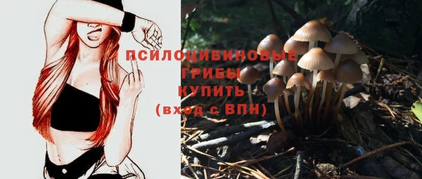 ECSTASY Алексеевка