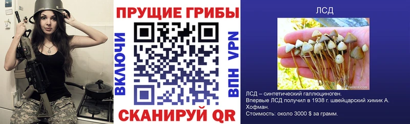 купить  сайты  Уссурийск  Псилоцибиновые грибы прущие грибы 