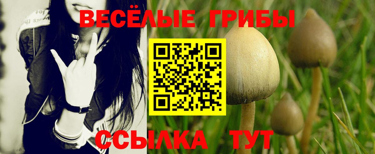 Галлюциногенные грибы Psilocybine cubensis  Галлюциногенные грибы ЛСД  Вход с VPN  Уссурийск 